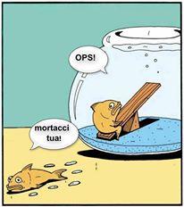 Carptoon - 12299695920548941696291805427647n.jpg